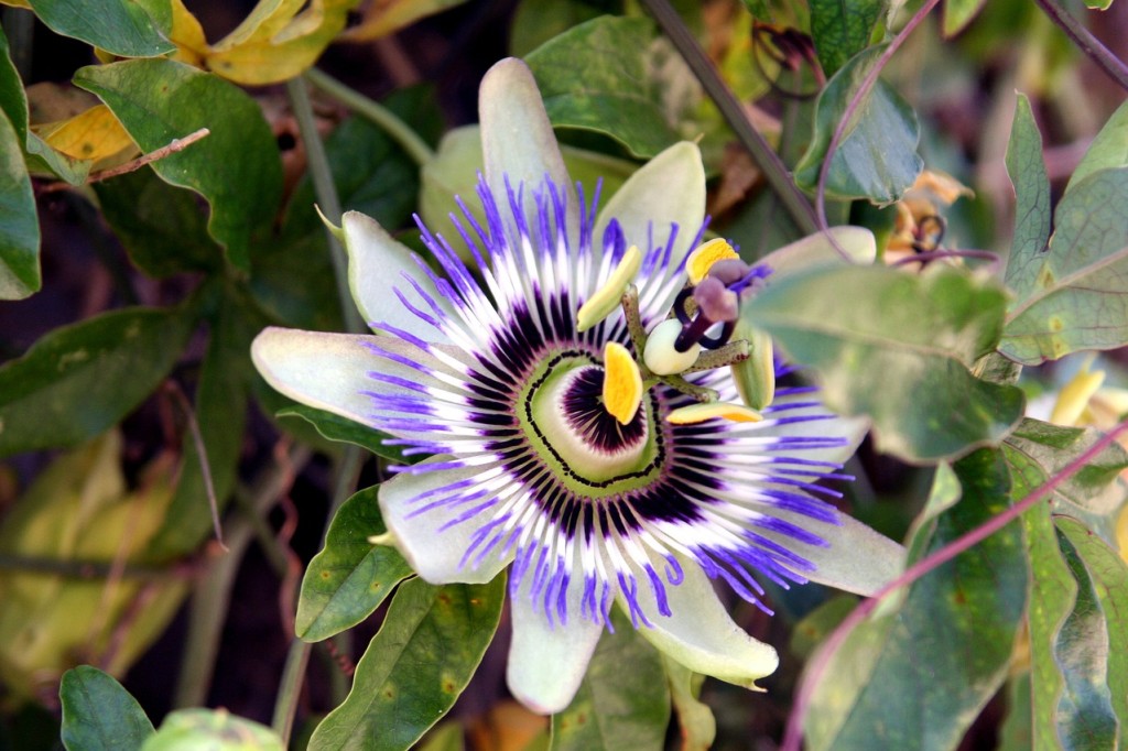 video29mars Slide background